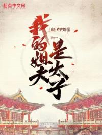 我的姐夫是太子封面